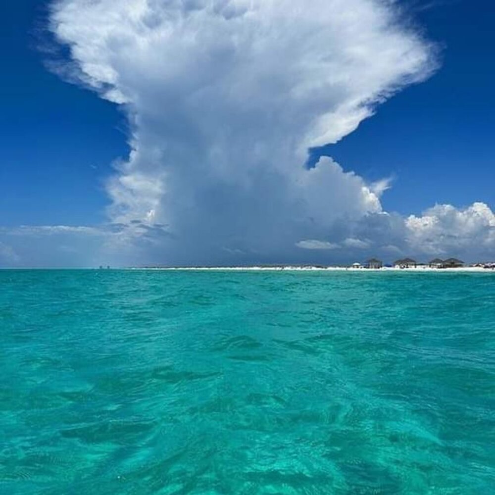 Meet your Posher, Kara